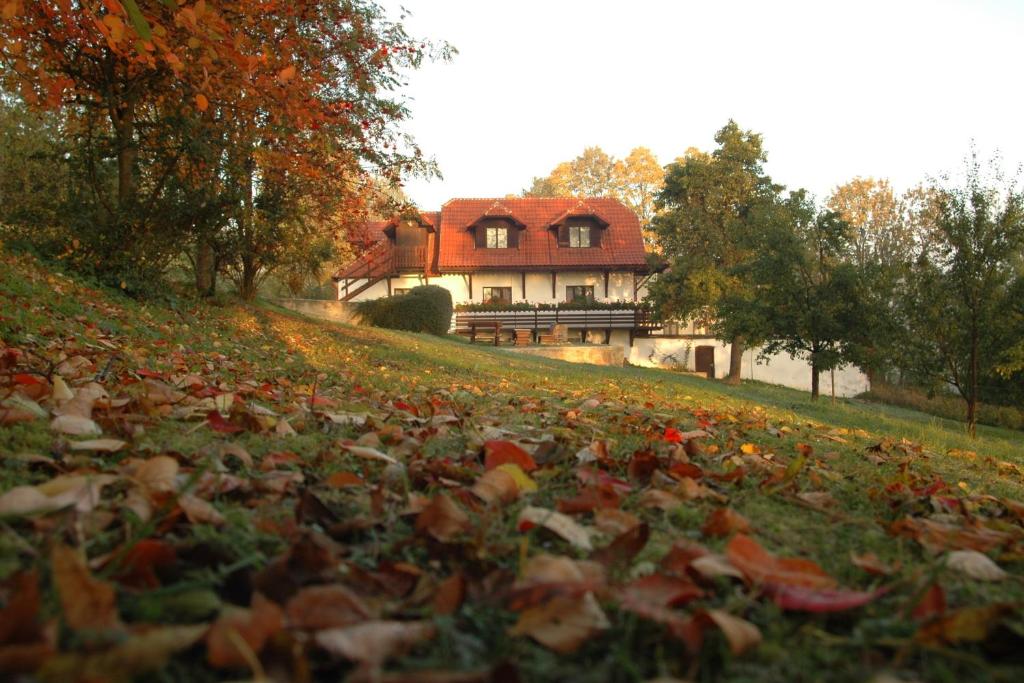 un champ de feuilles devant une maison dans l'établissement Penzion Dvůr, à Obora