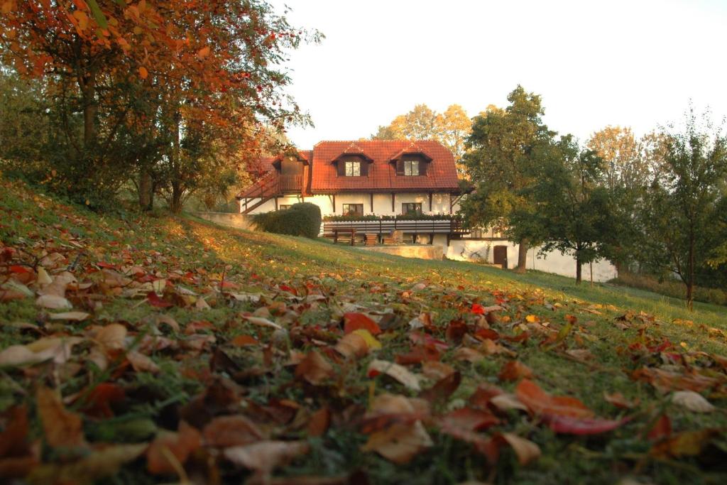 Zahrada ubytování Penzion Dvůr