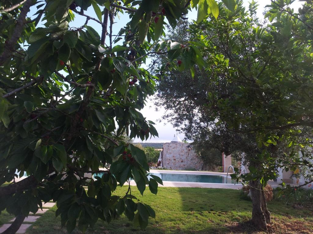 a view from the garden of the house at Fontana Vecchia B&B in Castellana Grotte