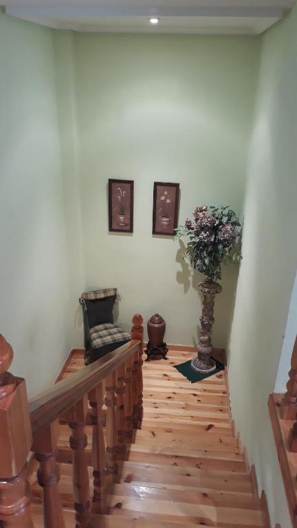 CASA NANO