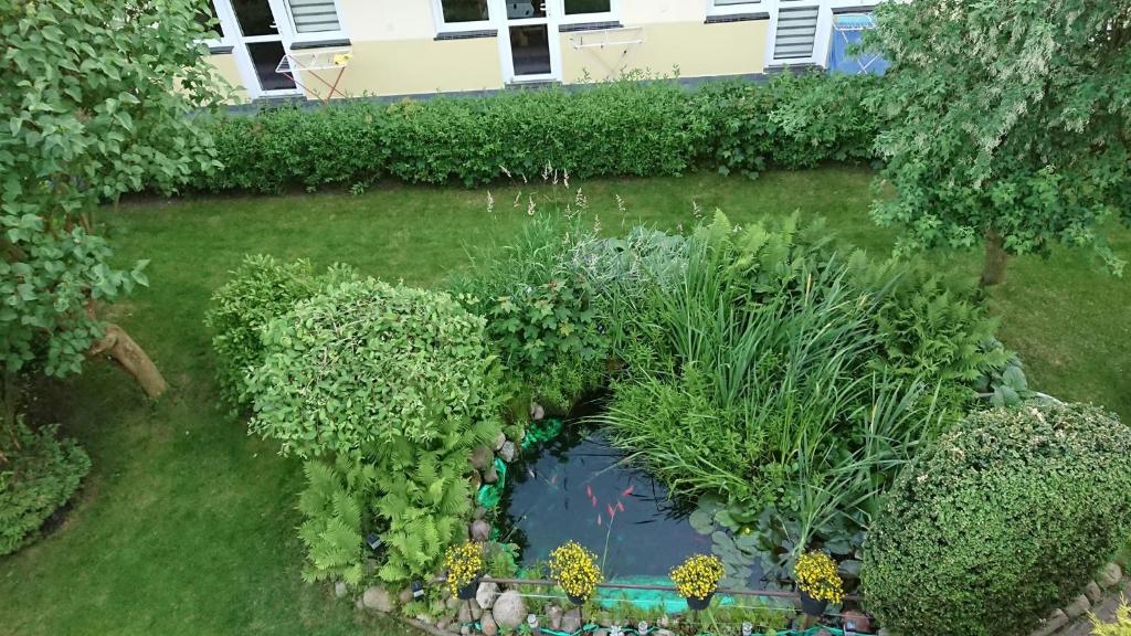 Ogrodowe zacisze - 16