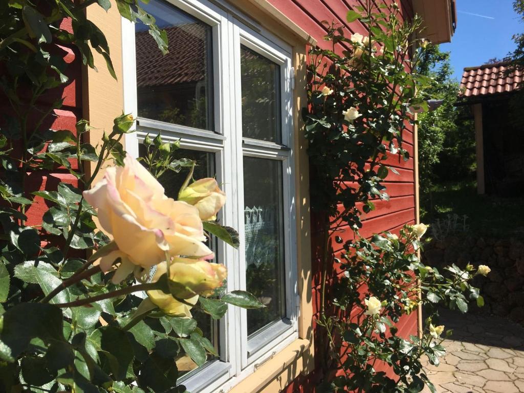 Zahrada ubytování Holzferienhaus