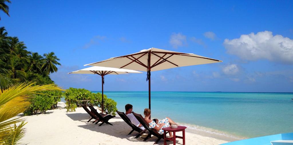 Příroda nedaleko penzionu