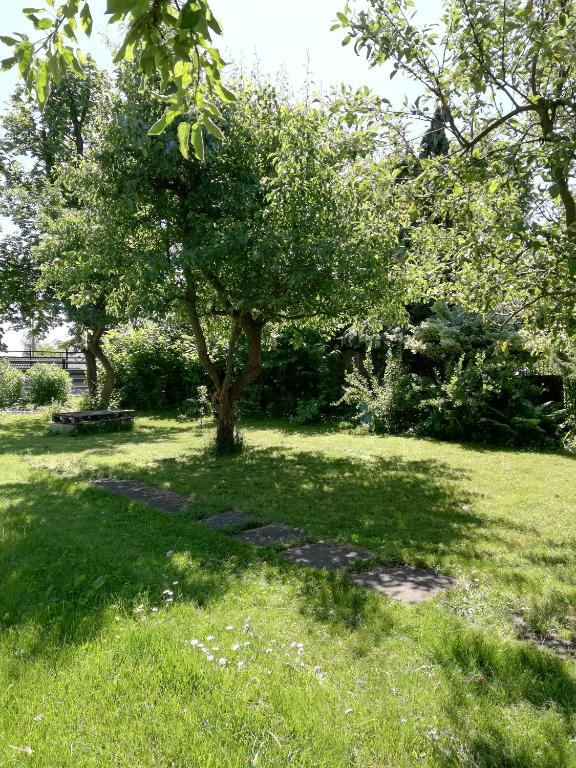 Hostel Mamas & Papas - 9