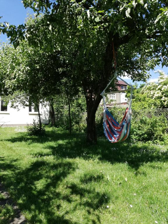 Hostel Mamas & Papas - 10