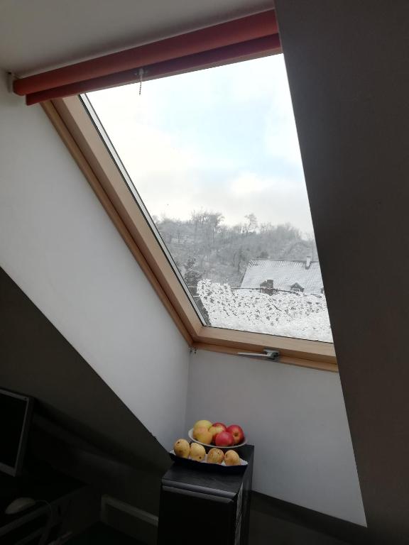 Hostel Mamas & Papas - 14