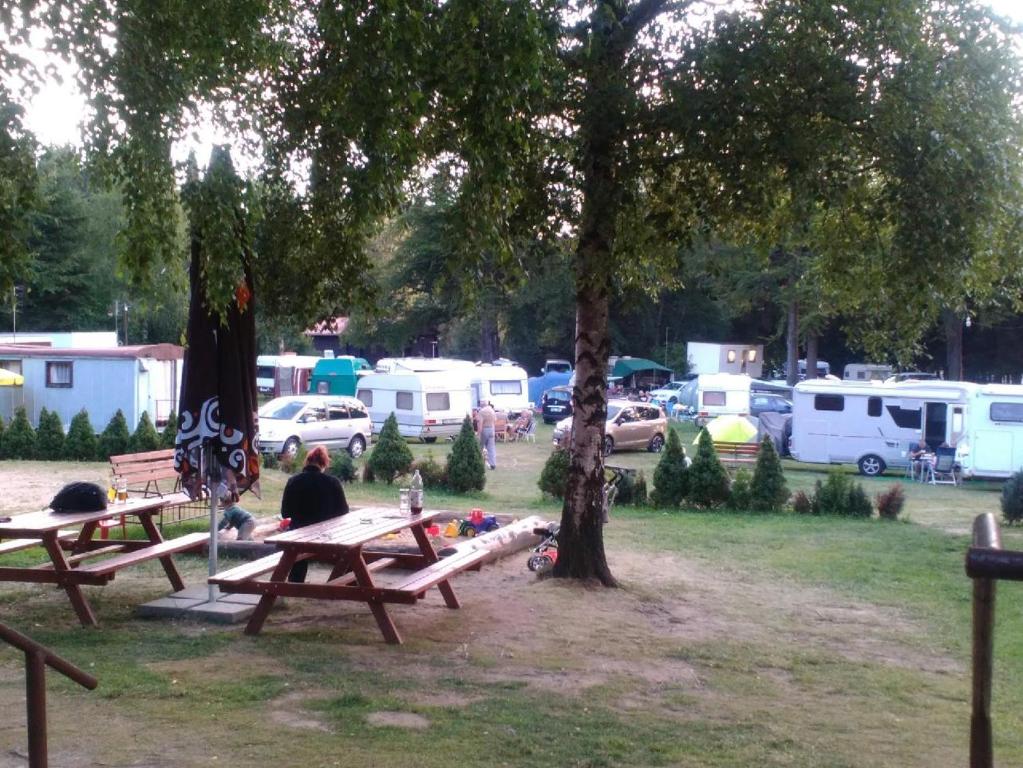 Zahrada ubytování Sykovec Karavan Sýkorka