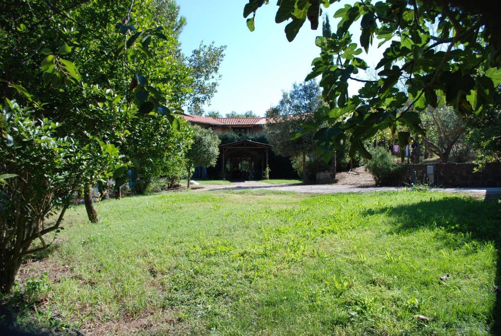 a house with a green yard with a building at Camporegio in Civitella Cesi