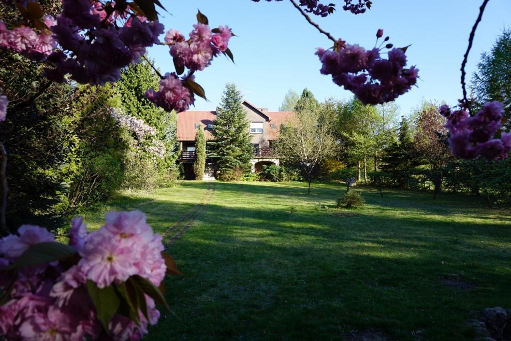 een tuin met roze bloemen in het gras bij Wypoczynkowy Dom Rodzinny in Ińsko