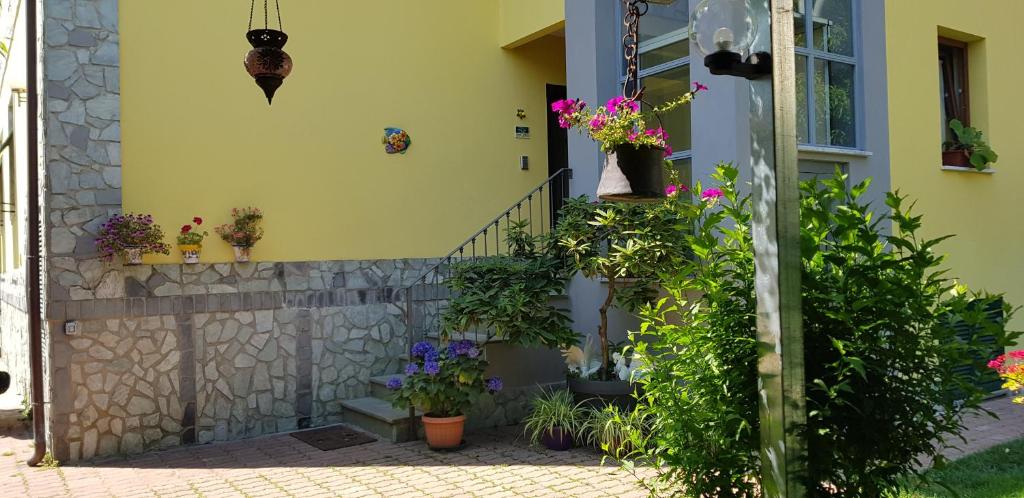 Zahrada ubytování Guest house Il Giardino in Città