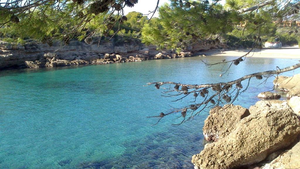Fotografie z fotogalerie ubytování Villa, Piscine, Plage. Las Tres Calas. Locamar. Joan Carles v destinaci Les tres Cales
