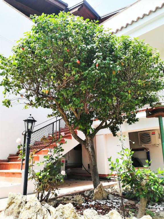LudoMar Country Residence - Rooms & Apartments - Appartamento Con Balcone
