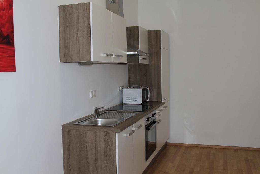 Kuchyň nebo kuchyňský kout v ubytování Apartment Fonhauser