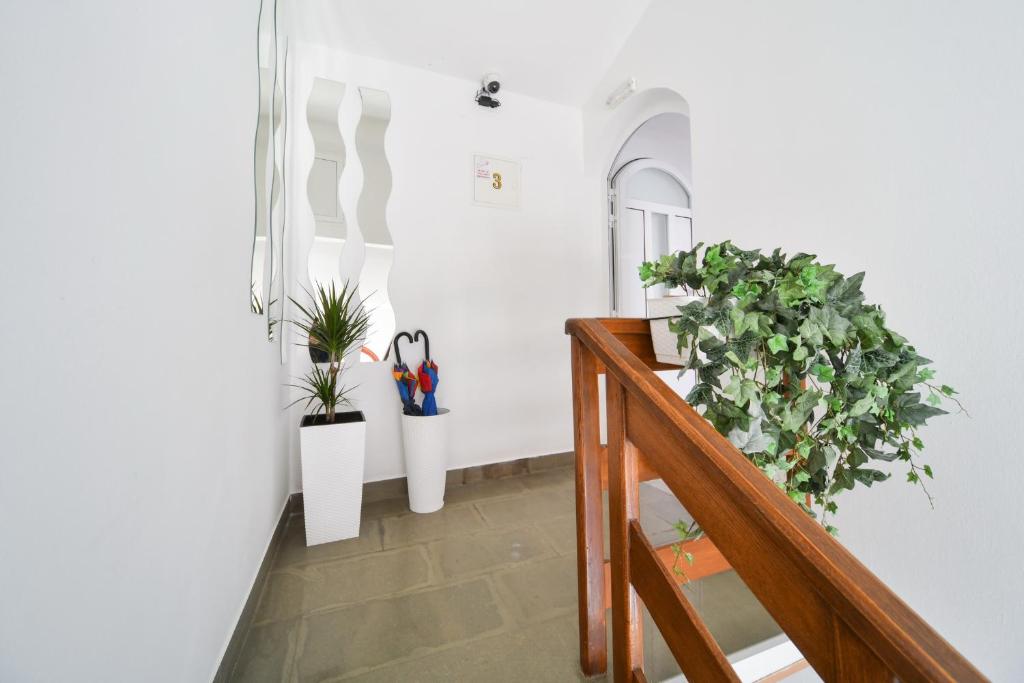 Fotografia z galérie ubytovania Rooms Nekic 1 v destinácii Zadar