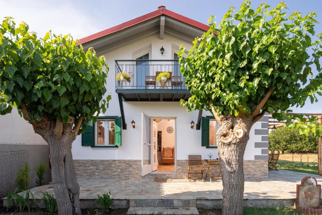 Zahrada ubytování Pratsas House