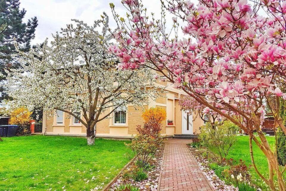 a house with pink flowering trees in front of it at PensionLien in Köthen