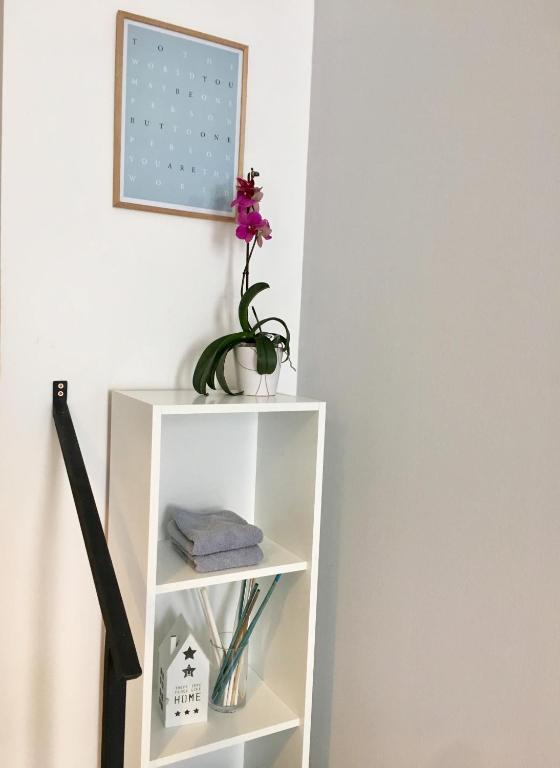 Knihovna v apartmánu