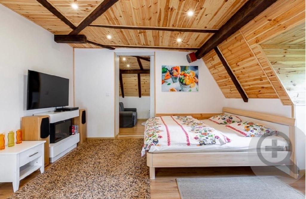 Telewizja i/lub zestaw kina domowego w obiekcie Apartamenty Pod Skocznią