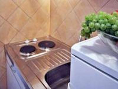 mały piec w kuchni z bandą zielonych winogron w obiekcie apartman Vojskovic w mieście Gračišće
