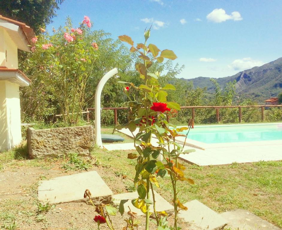 Bazén v ubytování Le Apuane Holidays nebo v jeho okolí