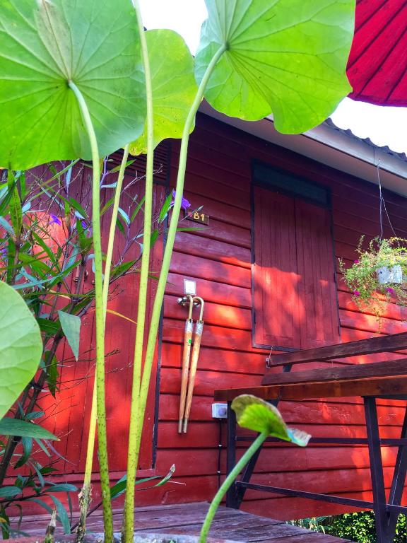 Mango House Sukhothai - 11