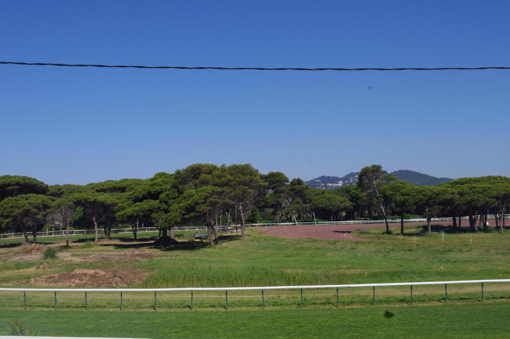 a view of a field with trees and a road at Les Stoechades in Hyères