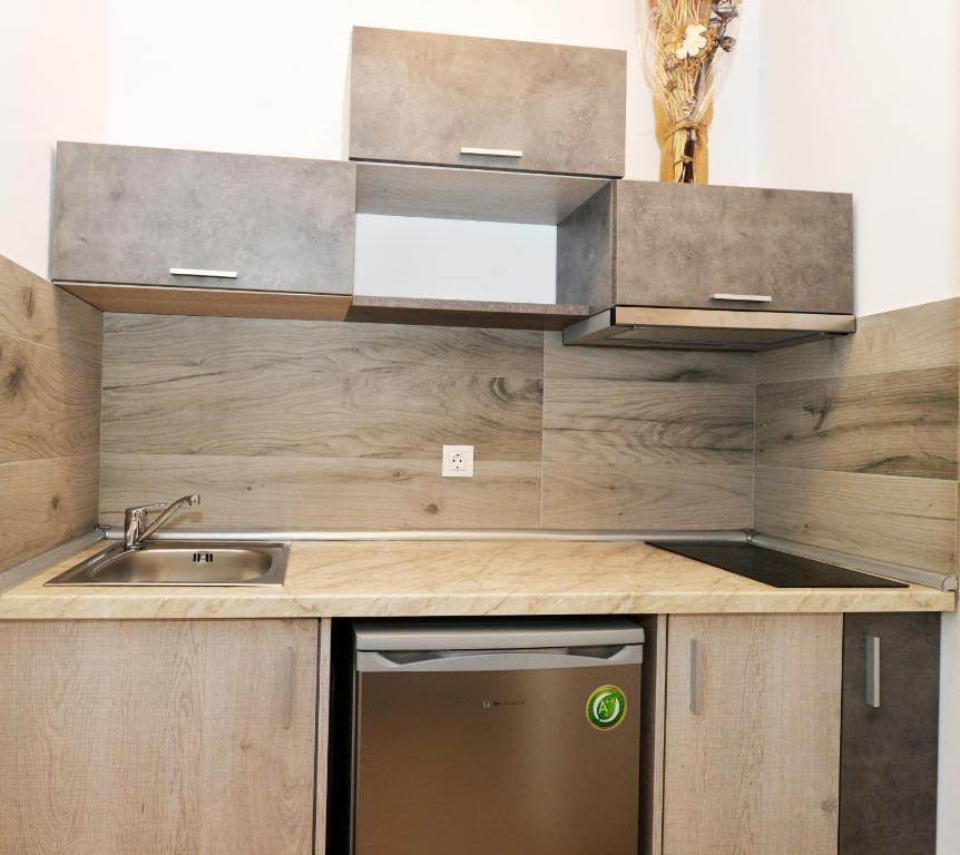 Kuchyň nebo kuchyňský kout v ubytování Iraklis Hotel