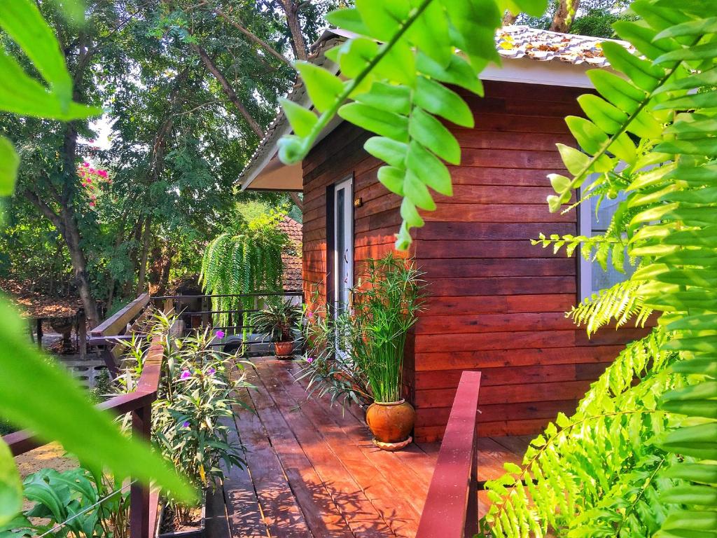 Zahrada ubytování Mango House