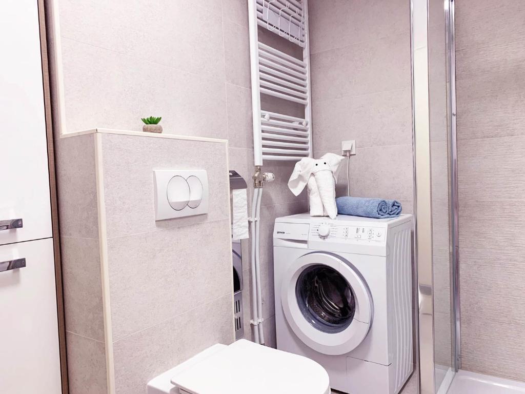 Central Bus Station Apartment - 12