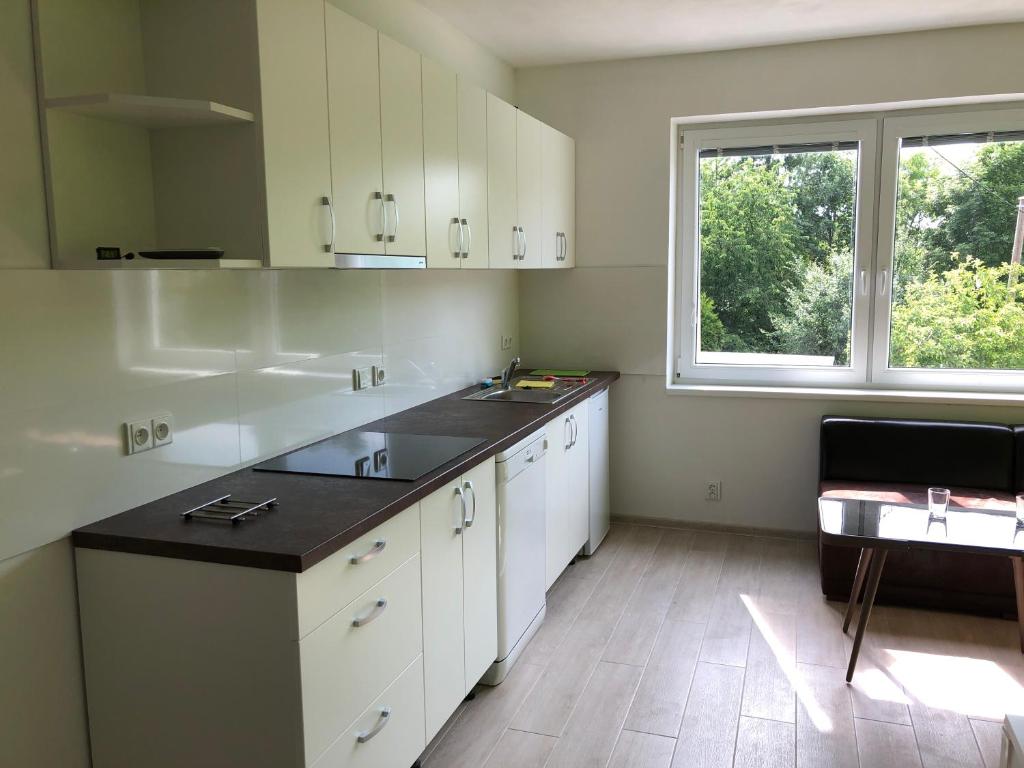 Kuchyň nebo kuchyňský kout v ubytování Apartmány LETO
