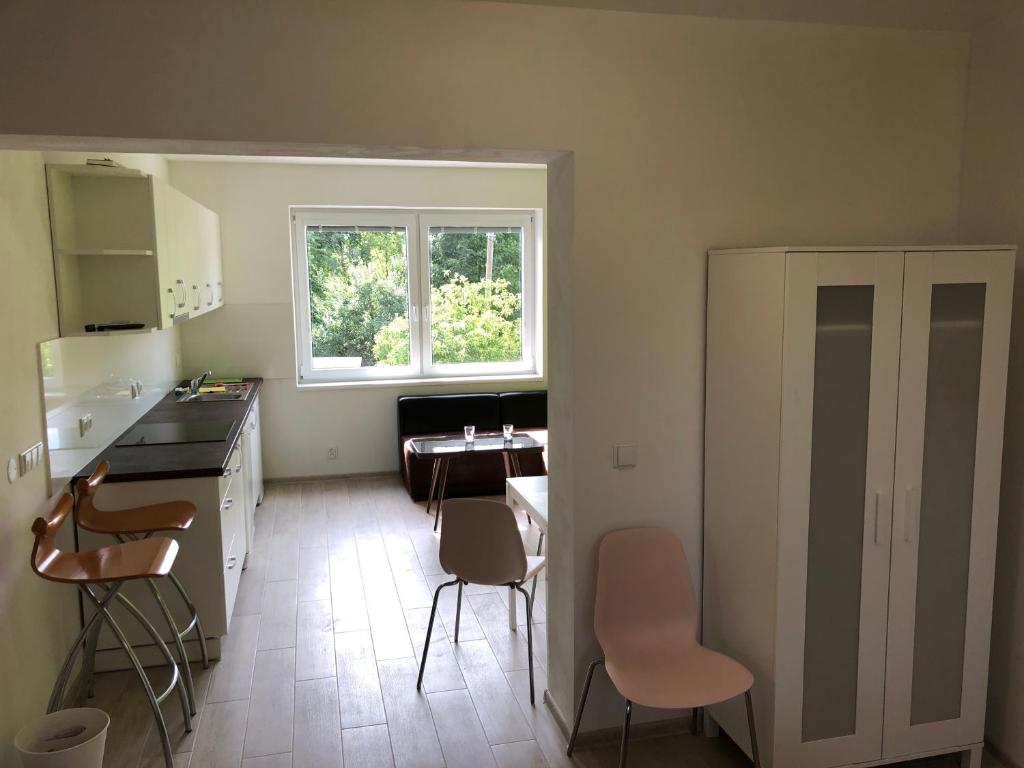 Kuchyň nebo kuchyňský kout v ubytování Apartmány LETO