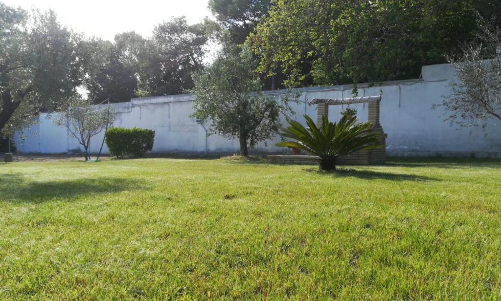 A garden outside Perla del Salento
