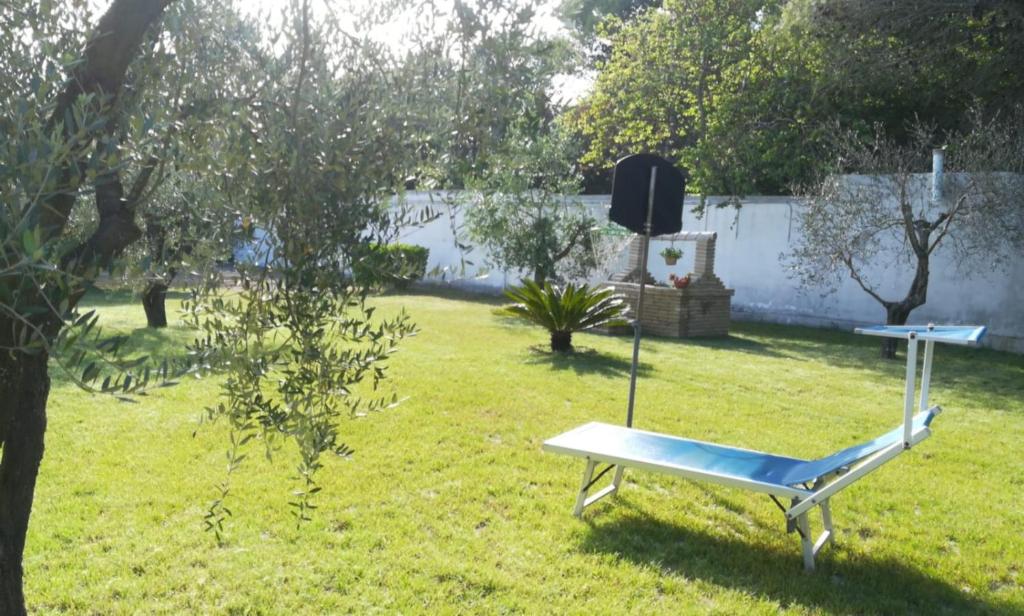 A garden outside Perla del Salento
