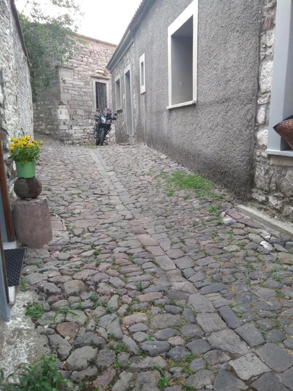 Okolí apartmánu