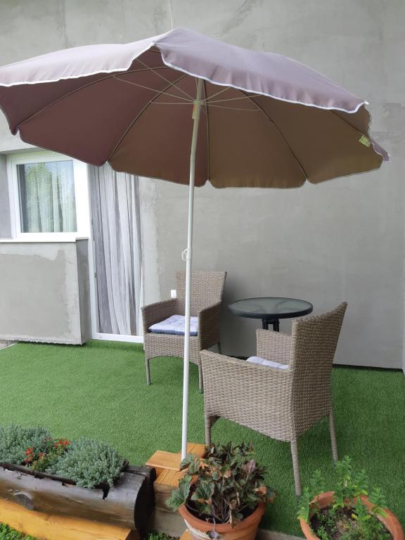 Zahrada ubytování Apartments Kozjan