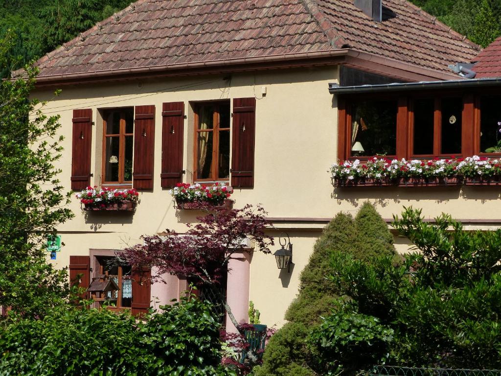une maison avec des boîtes de fleurs sur les fenêtres dans l'établissement Gîte aux Sapins, à Sainte-Marie-aux-Mines