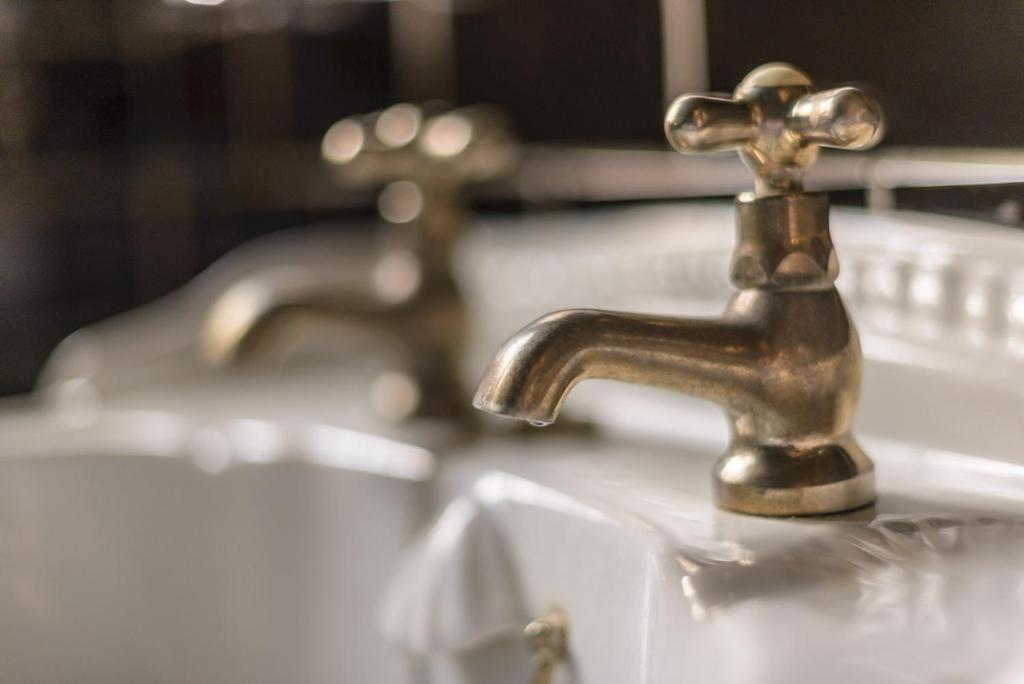 Golden Eagle - Resim 21