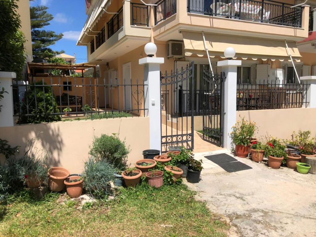 a bunch of potted plants in front of a house at Artemis Apartments in Lefkada