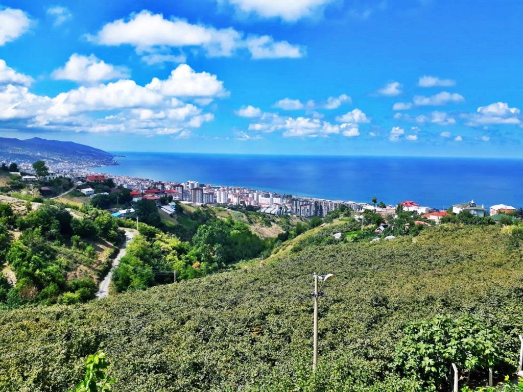 a town on a hill next to the ocean at Paradise Villa Trabzon in Trabzon