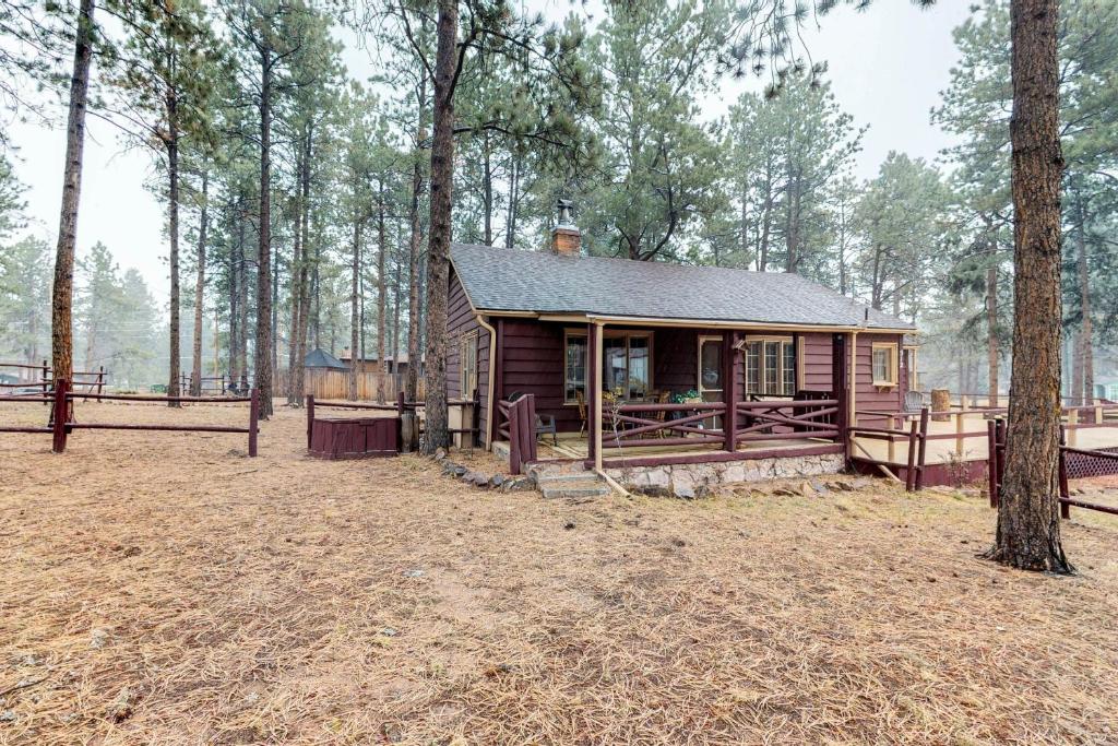 Gallery image of Big Bear Cabin in Woodland Park