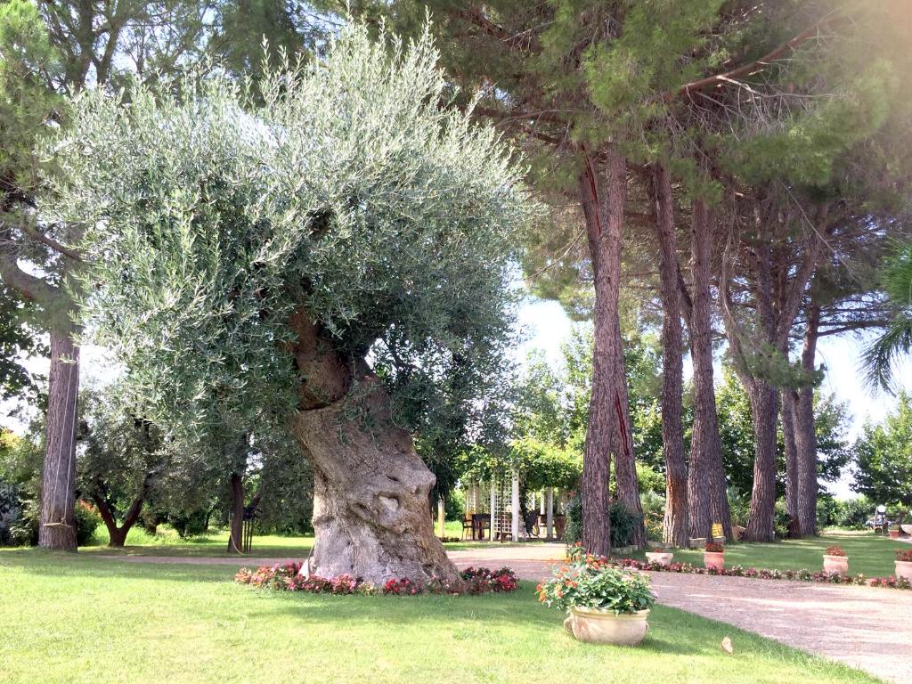 Zahrada ubytování Agriturismo La Stornara