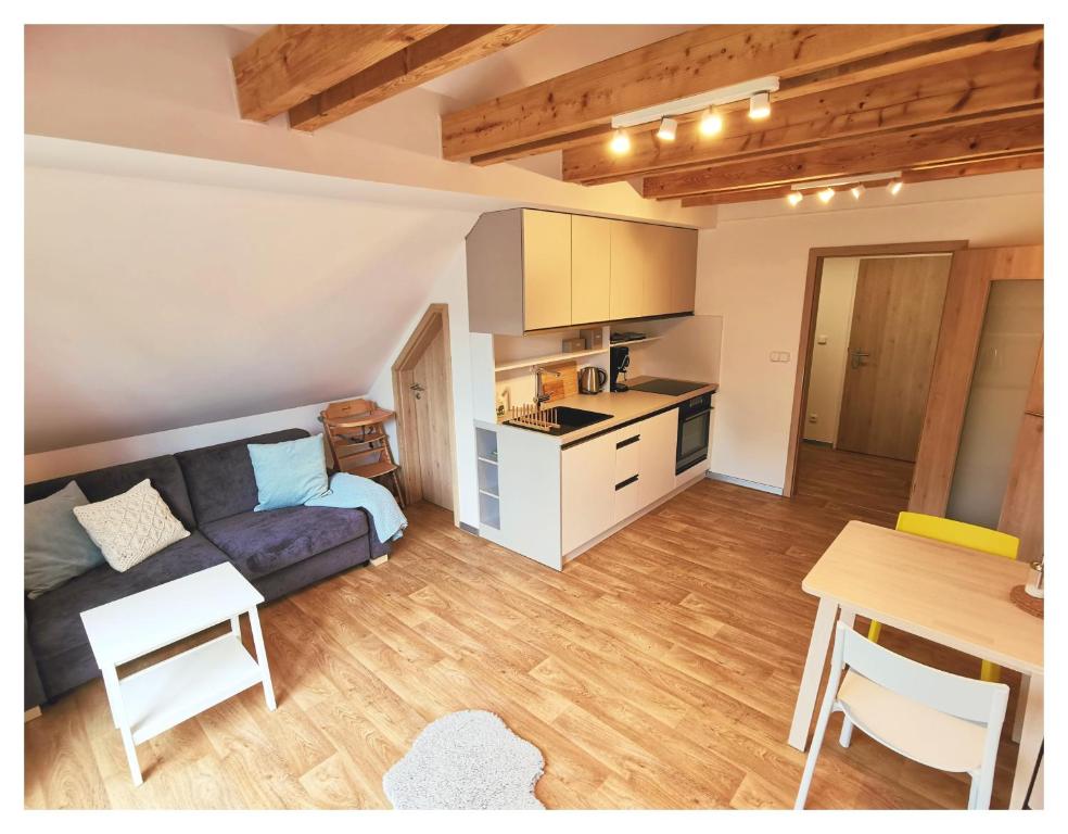 Kuchyň nebo kuchyňský kout v ubytování Apartmán v podkroví