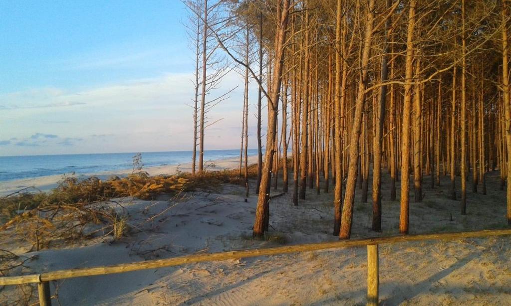 Gallery image of Stilove Wydmy in Sasino