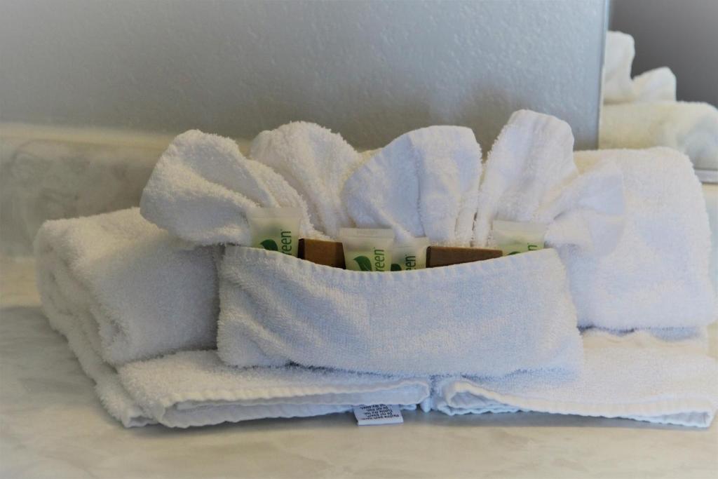 Minsk Hotels - Extended Stay, I-10 Tucson Airport - 主管床