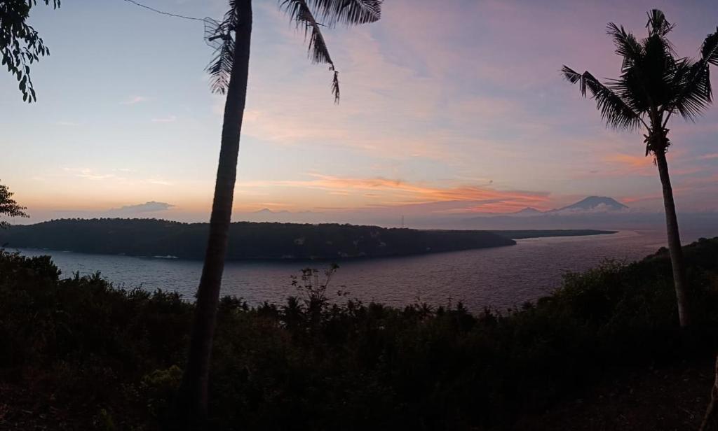 Gamat Garden Homestay - 5