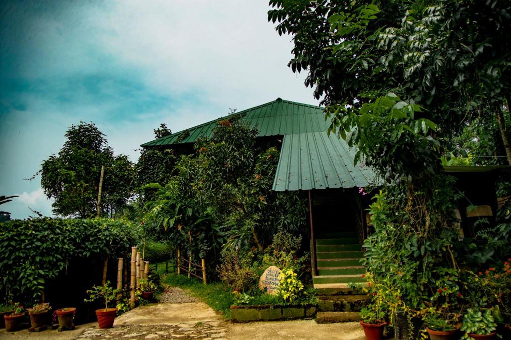 Zahrada ubytování Ecotones Munnar by Eden Environs