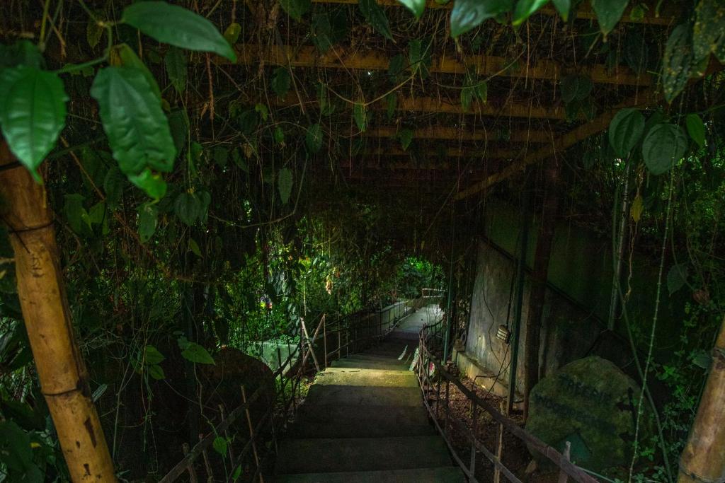 Zahrada ubytování Ecotones Munnar by Eden Environs