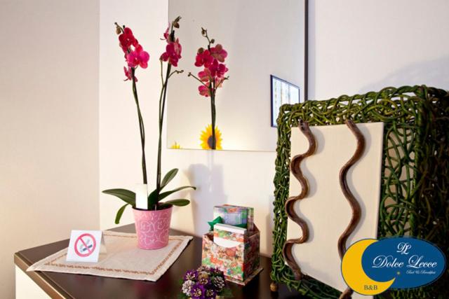Fotografie z fotogalerie ubytování Dolce Lecce B&B v destinaci Lecce