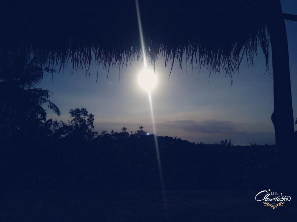 Mount Sea View Bungalow - 6