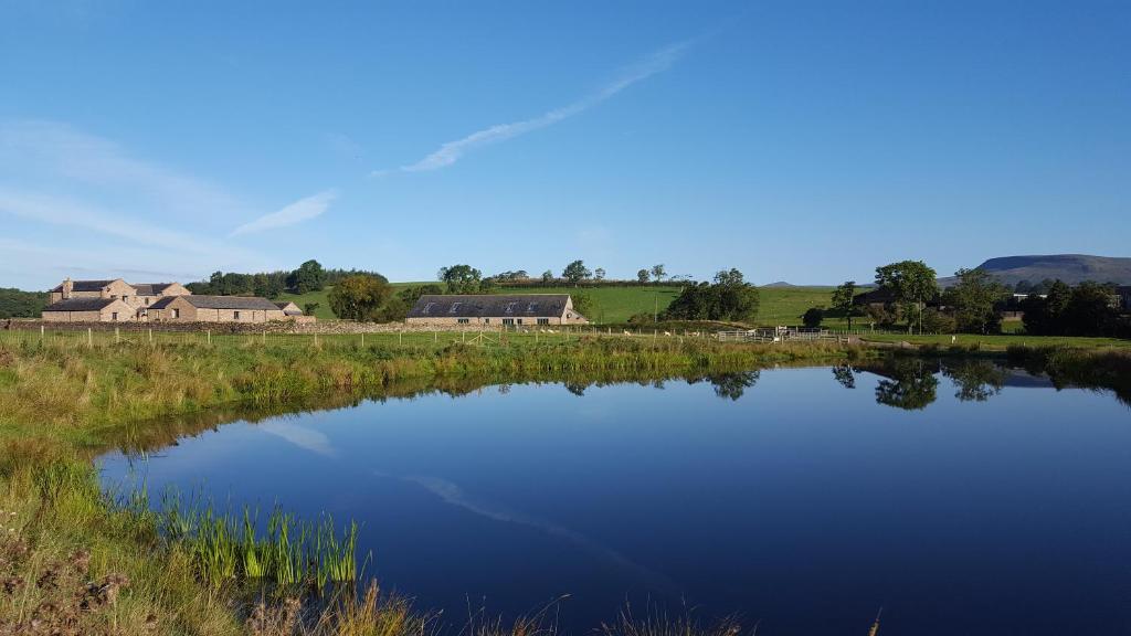 a pond in a field with houses in the background at Keld Barn, Low Ploughlands Holiday Lets in Kirkby Stephen